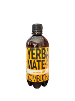 KOMBUCHA MANGO BIO 400ML
